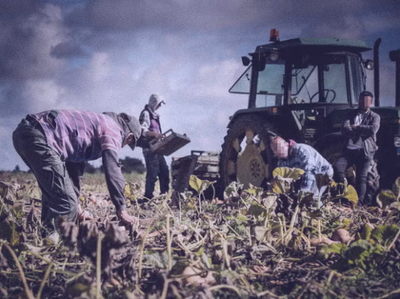 UK ministers pressed ahead with seasonal farm workers visa for migrants despite UN experts’ warning