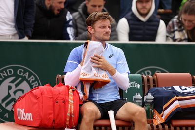 David Goffin claims he was ‘spat’ at by fan during raucous French Open win