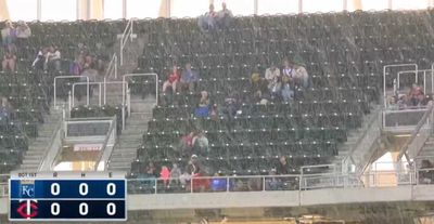 No, that wasn’t snow falling at a Twins game. It was a ton of cottonwood seeds