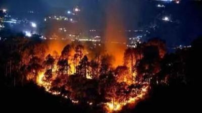 1038 forest fires reported this summer in Himachal, 38 FIRs registered