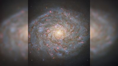 Bejeweled galaxy of 'Bernice's Hair' sparkles in new Hubble Telescope photo
