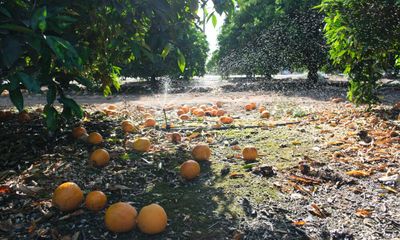 A Tiny Farmworker Community is Eyed for California Hydrogen Experiment 