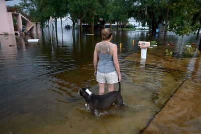 Home insurers paid out a staggering $100 billion last year, the most catastrophic financial wrecking ball in over a decade