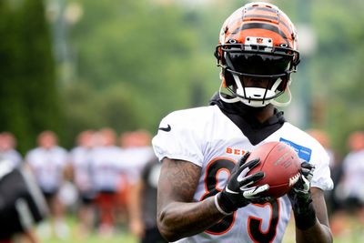 Expert brings up good point about Tee Higgins and Bengals’ WR spot