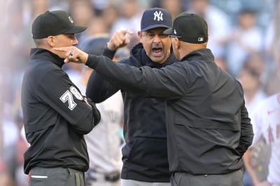Yankees manager Aaron Boone got ejected after arguing a questionable call on Juan Soto