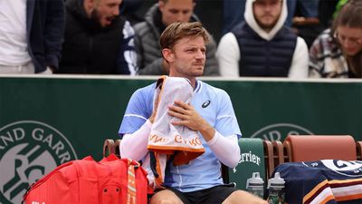 French Open: David Goffin slams French fans, claims one spat gum at him