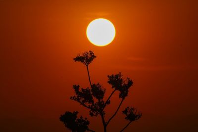 Mexico’s deadly heat dome is coming for the US