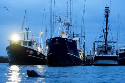 Takeaways from The Associated Press' reporting on seafarers who are abandoned by shipowners in ports