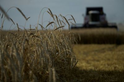 EU States Agree 'Prohibitive' Tariffs On Russia Grain Imports