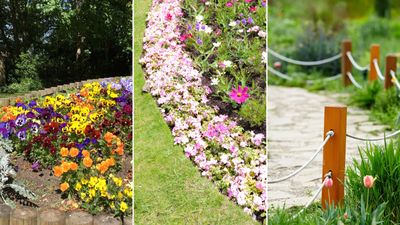 14 lawn edging ideas that will add definition and style to your backyard