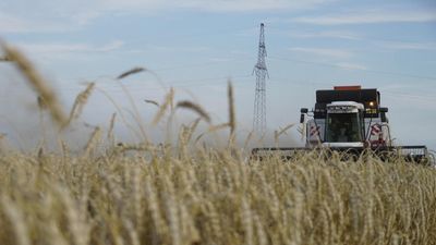 EU agrees 'prohibitive' tariffs on Russia, Belarus grain imports