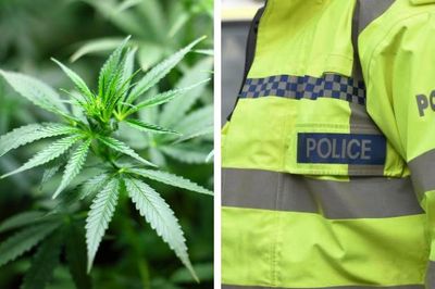 Man charged after police recover thousands of pounds worth of cannabis inside vehicle