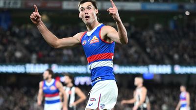Top Dog gives high praise for Darcy after rough start