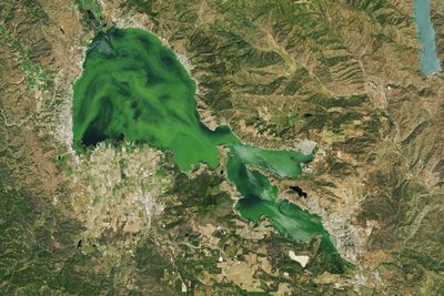 California lake so green with algae it’s visible from space, says Nasa