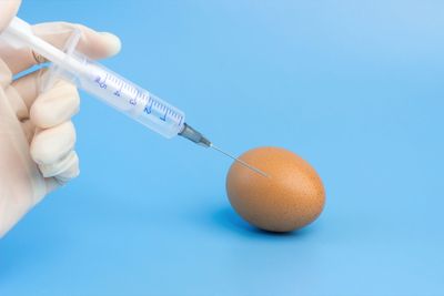 Bird flu vaccines face a problem: eggs