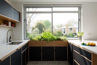 Are 'Kitchen Garden Windows' Still in Style? Why We Still Love This Genius Design Feature