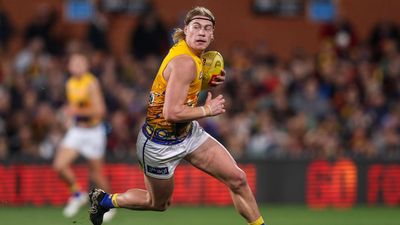 Taggers the big worry as Harley Reid faces AFL ban