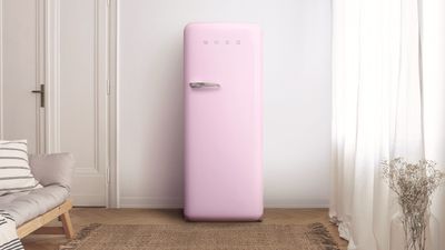 The SMEG retro fridge is right on trend for 2024 and perfect for vintage-lovers