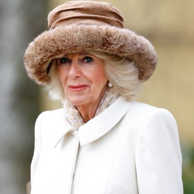 Queen Camilla Pulls Off a "Fantastic" Secret Outing With Her 5 Grandkids