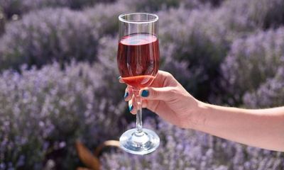 Wines to capture the taste of summer