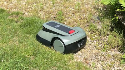 I just tried a robot lawnmower for the first time — here's how it went