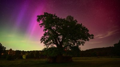 The Northern Lights could return this week –5 ways to plan your photo shoot