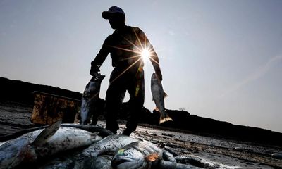 A supreme court case about fishermen could throw government into chaos