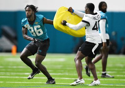 Jaguars UDFA WR reports torn ACL