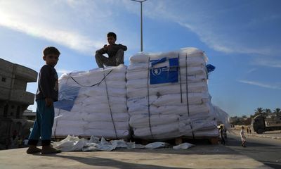 Trade convoys ‘squeezing out’ Gaza aid, humanitarian organisations say