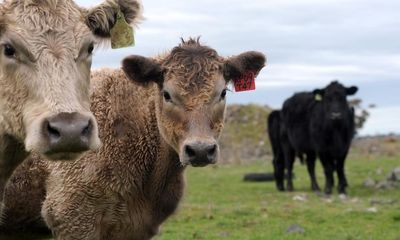 My Climate View: online tool allows Australian farmers to project changes out to 2070