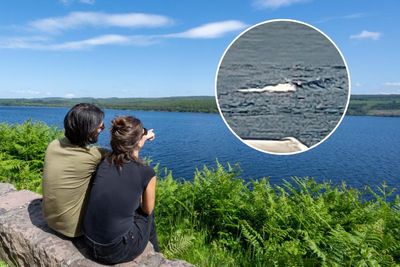 Potential sighting of Loch Ness monster as 'unexplainable noise' captured
