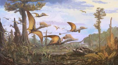 Fossil of giant flying pterosaurs found in quarry is nicknamed ‘Abfab’