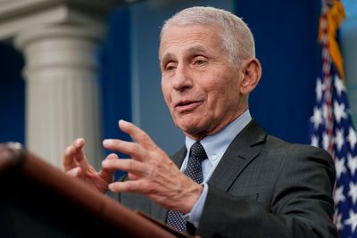 Watch: Fauci grilled by House Republicans over Covid-19 response