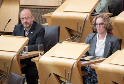Greens urge STV to 'do the right thing' and include them in leaders debate