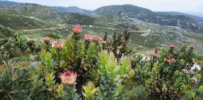 Nearly 25% of land in Africa has been damaged – what’s to blame, and what can be done