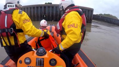 Video shows moment dog rescued from River Thames by RNLI crew after 14ft fall into water