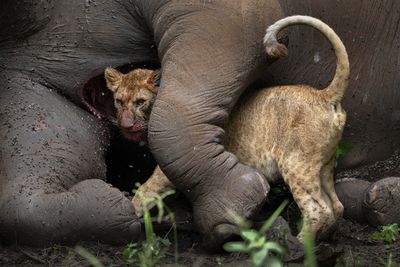 Travel Photographer of the Year awards are open for entries - whatever your age or ability