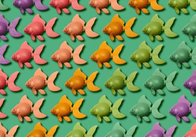 6 of the Best Small-Cap ETFs to Buy Now