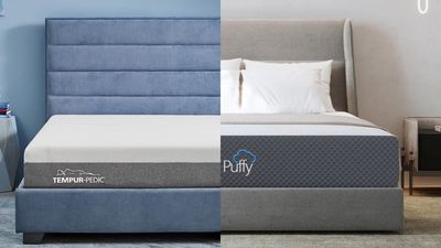 Tempur-Pedic Tempur-Cloud vs Puffy Cloud: Which foam mattress is best for your aches and pains?
