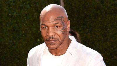 Mike Tyson uses this ancient garden feature to zone his backyard – and it will likely impress for centuries ahead