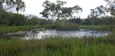 Australia’s ‘learning by doing’ approach to managing large mines is failing the environment