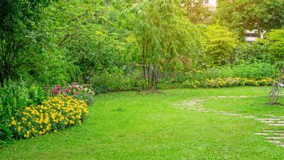 This clever Amazon backyard bug spray is the most convenient way to keep pests at bay — gardening experts say it's "highly-effective"