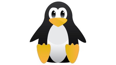 US government warns on critical Linux security flaw, urges users to patch immediately
