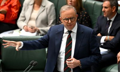 Pro-Palestine protests closing MPs’ electorate offices ‘have no place in a democracy’, Albanese says