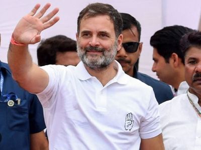 Rahul Gandhi Leading From Both - Wayanad and Raebareli Lok Sabha seats