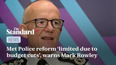 Met Police reform 'slower and more limited due to budget cuts', warns Mark Rowley