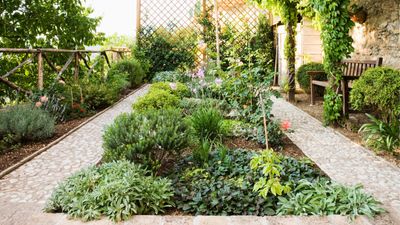 Smart backyard landscaping tips for a beautiful outdoor space on a budget