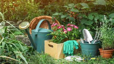 5 beginner gardening tasks experts say you should do right now – just in time for National Garden Week
