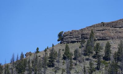 Can you spot the Yellowstone moose on the distant ridge?