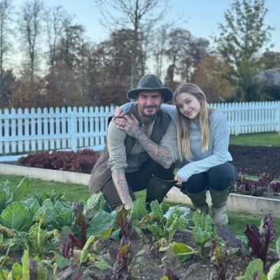 David Beckham And Wife Engaging In Farming Activities Together